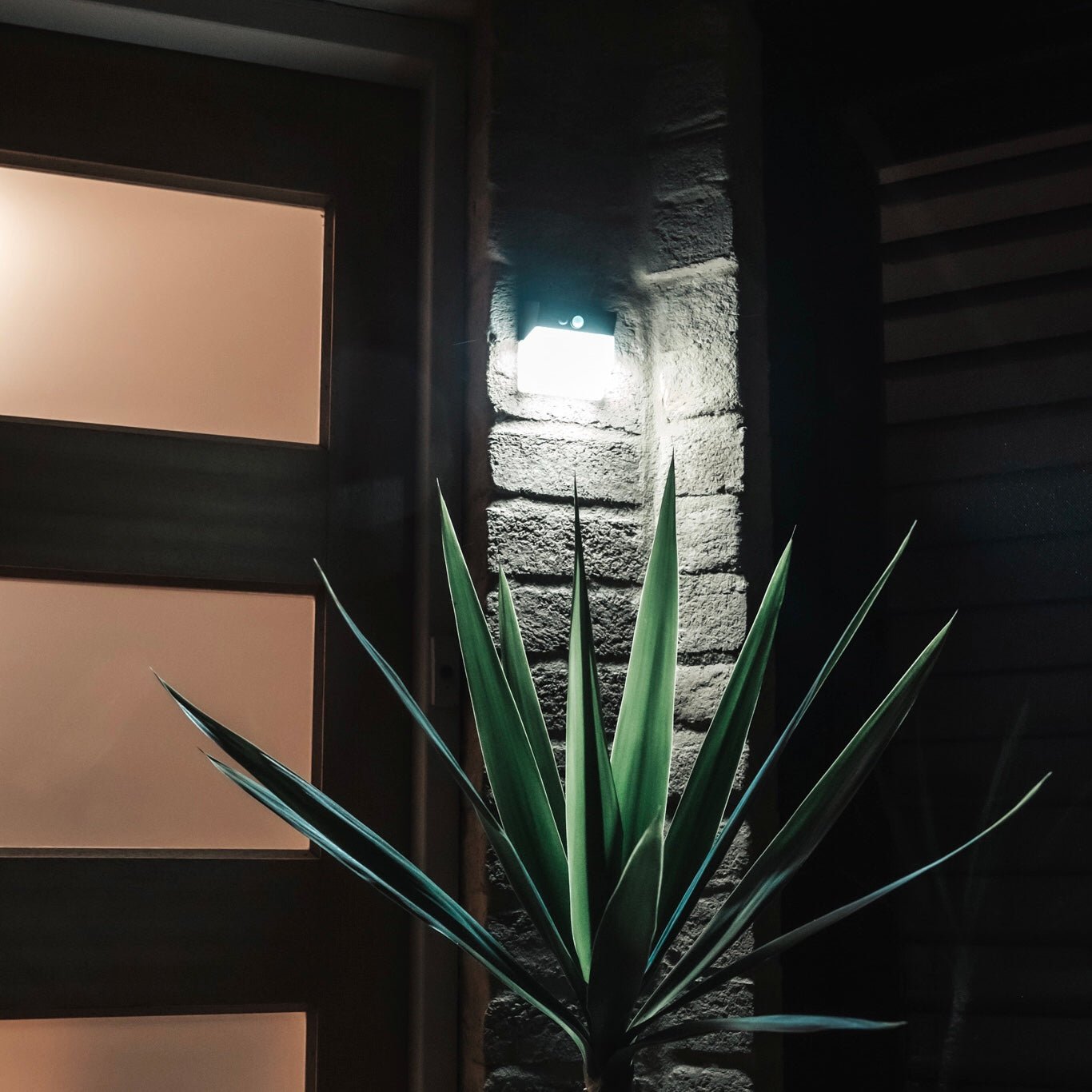 Outdoor Solar Light