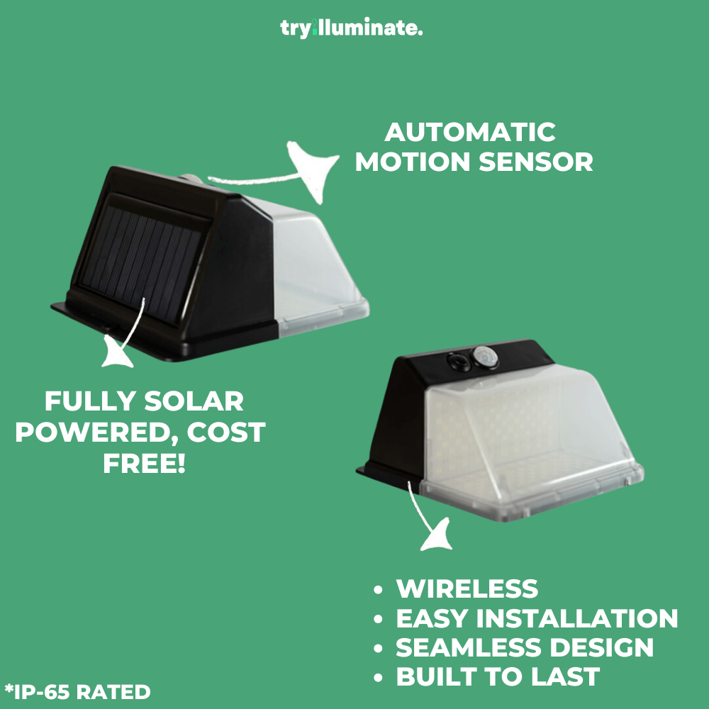Outdoor Solar Light