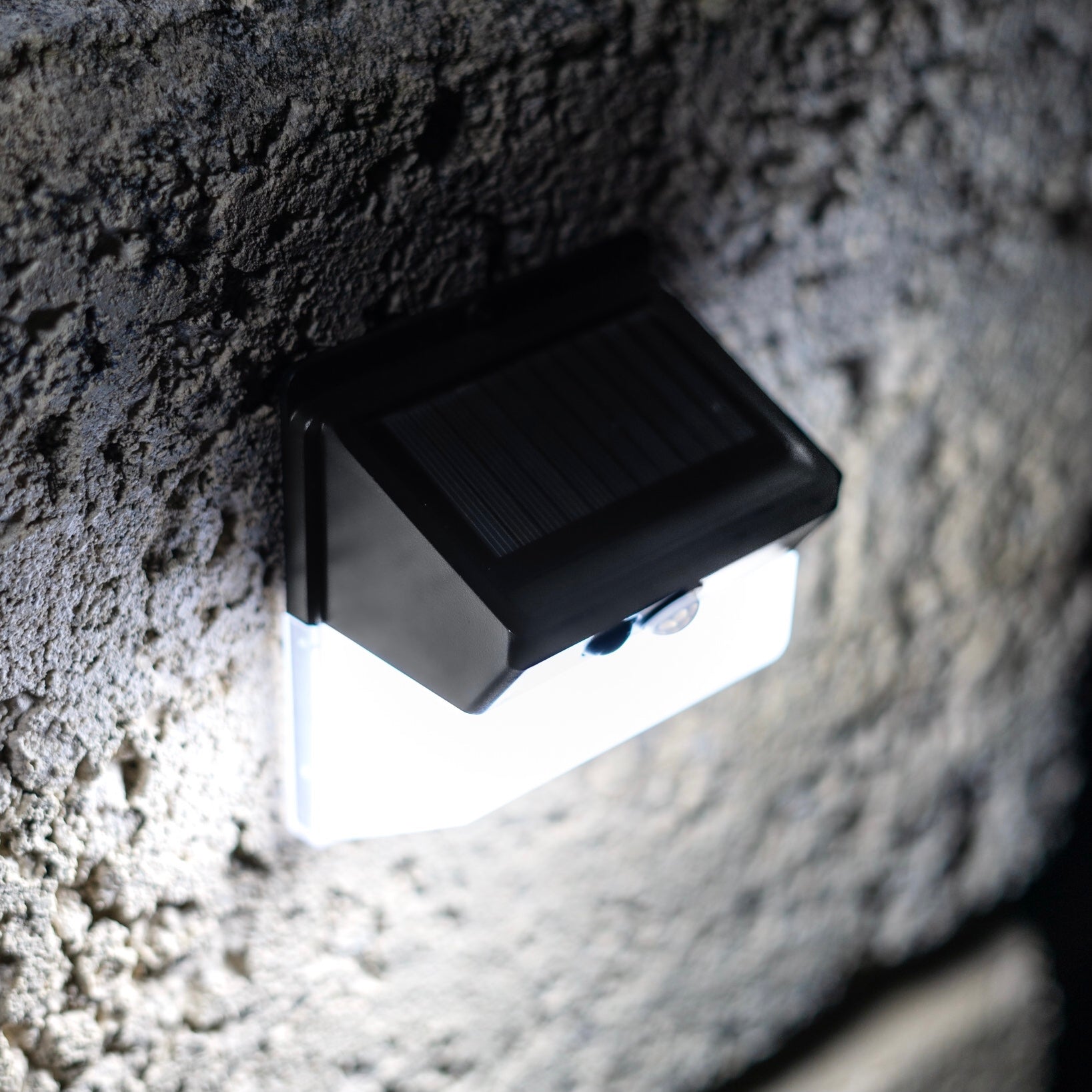 Outdoor Solar Light