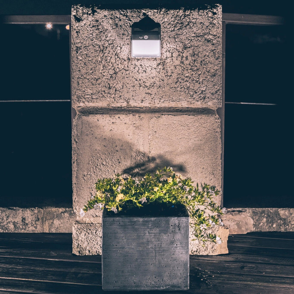 Outdoor Solar Light
