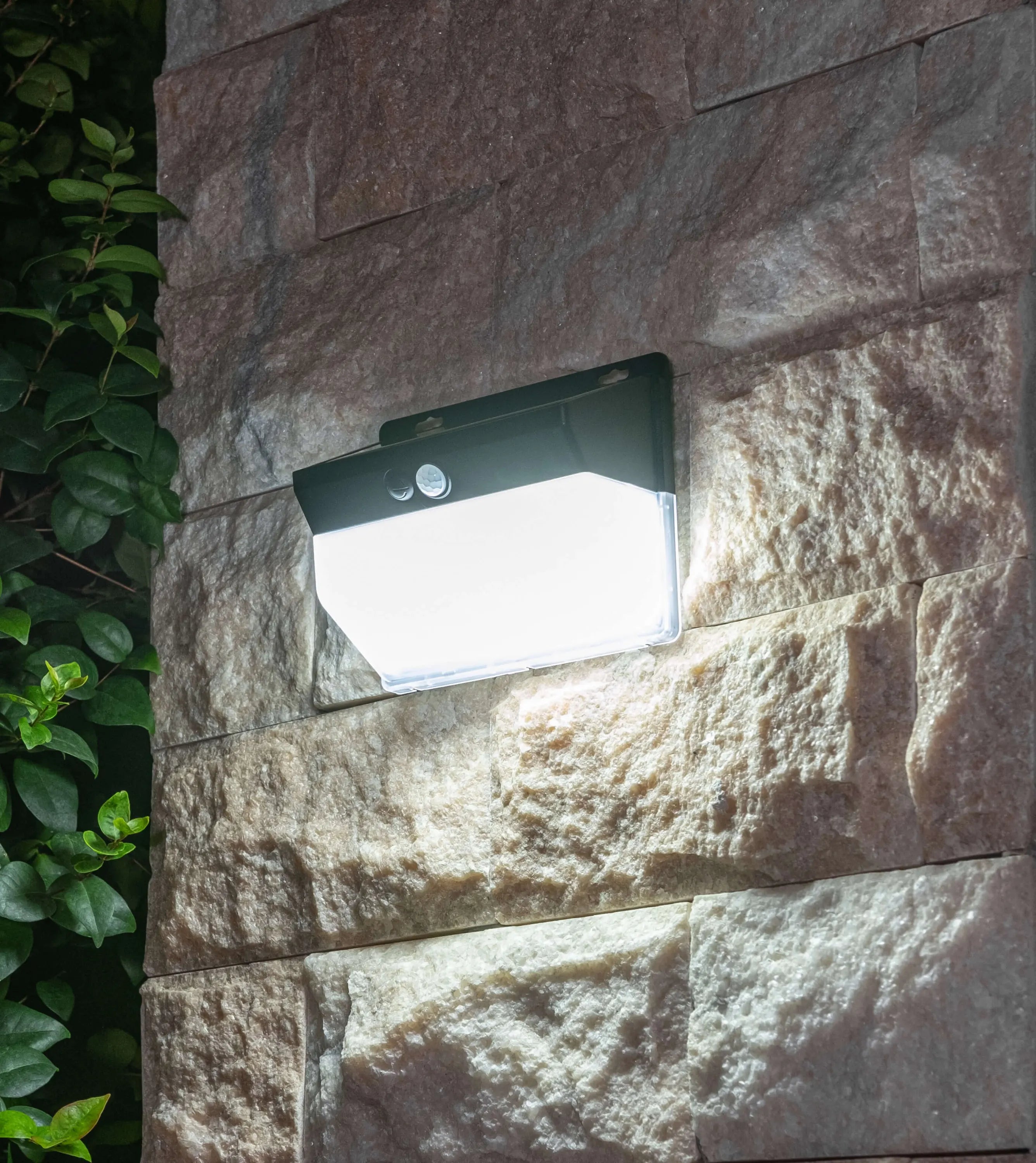 Outdoor Solar Light
