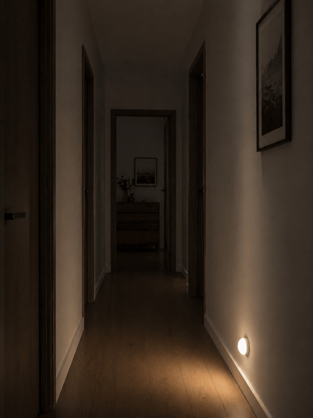 Halo Light Pro